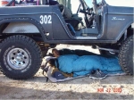 1DSC04446-med.jpg