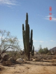 1DSC04450-med.jpg
