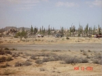 1DSC04456-med.jpg