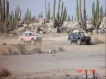 1DSC04457-med.jpg