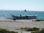 DSCF1518.jpg