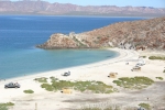IMG_1390.jpg
