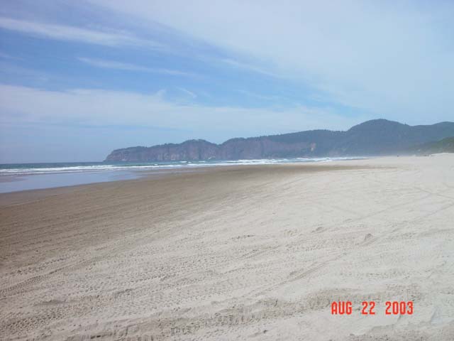 DSC03817