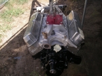 IMGP10501.JPG