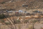 037_IMG_9844.jpg
